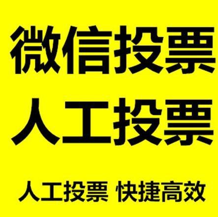 怀化市投票活动拉票能被查出来吗？如何操作能不被发现？